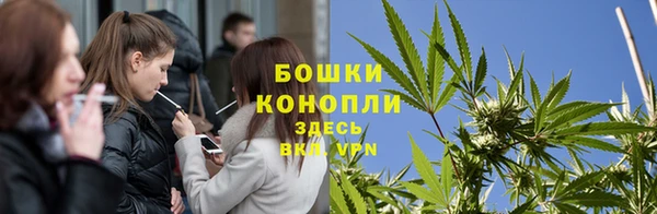 тгк Белокуриха