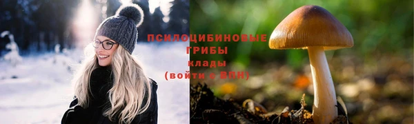 тгк Белокуриха