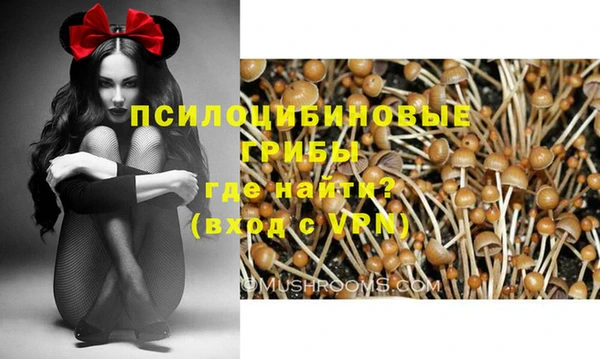 ешки Беломорск