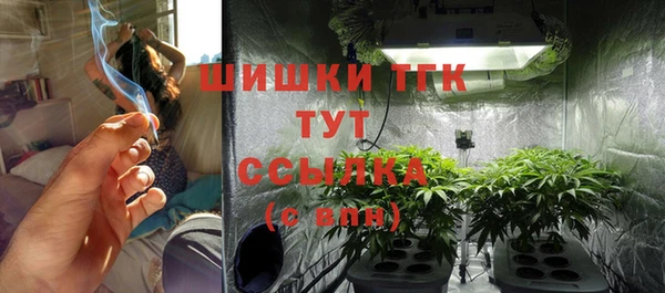 тгк Белокуриха