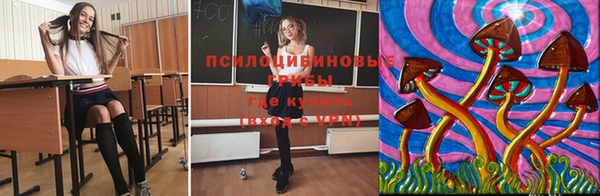 гидропоника Богородск